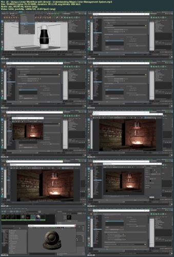 Fundamentals of Arnold for Maya