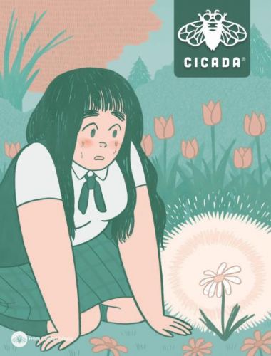 Cicada - March 2017