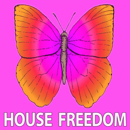 VA - Minimal Freedom (2017)