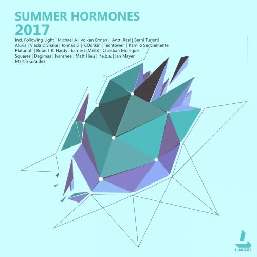 VA - Summer Hormones (2017)