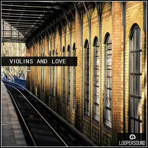 Loopersound Violin And Love WAV