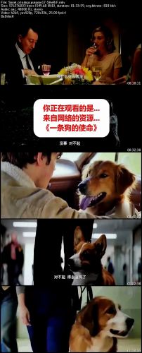 A Dogs Purpose 2017 HC TCRip HQ 550MB - SHERiF