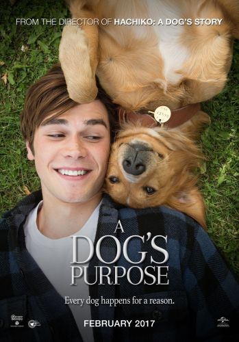 A Dogs Purpose 2017 HC TCRip HQ 550MB - SHERiF