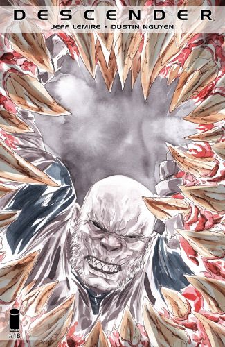 Descender 018 (2017)