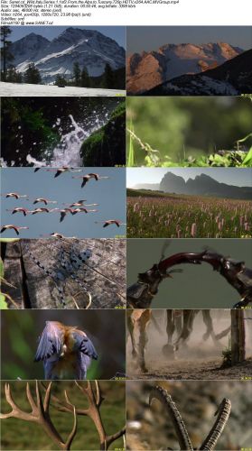 zdf Enterprises Wild Italy Series 1 2014 720p HDTV x264 AAC MVGroup