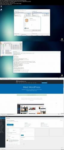 Develop Competitive Plugins for WordPress and WooCommerce