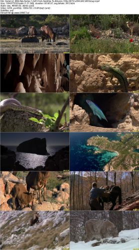 zdf Enterprises Wild Italy Series 1 2014 720p HDTV x264 AAC MVGroup