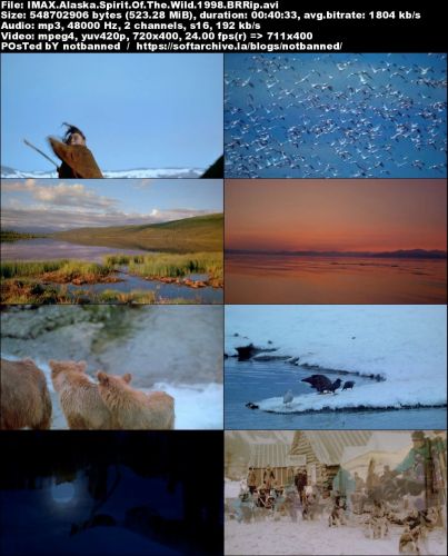 Alaska: Spirit of the Wild (1998) BRRip XviD MP3-RARBG