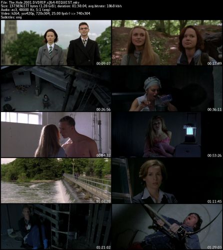 The Hole (2001) DVDRIP x264-REQUEST 