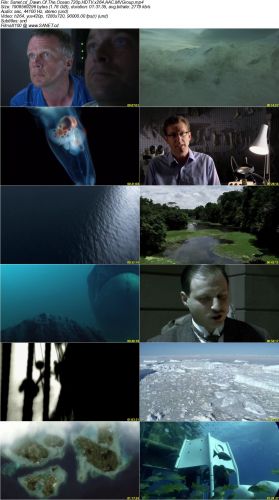 National Geo. Dawn of the Ocean 2010 720p HDTV x264 AAC MVGroup
