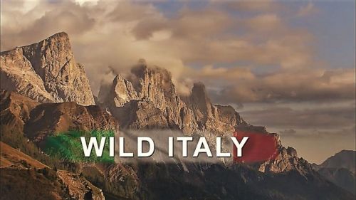 zdf Enterprises Wild Italy Series 1 2014 720p HDTV x264 AAC MVGroup