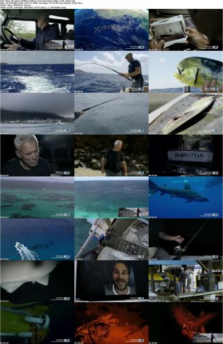 River Monsters S09E01 Killers From the Abyss 480p x264-mSD