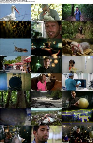 Natures Weirdest Events S05E07 720p HDTV x264-QPEL