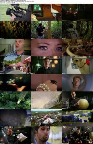Natures Weirdest Events S05E07 480p x264-mSD