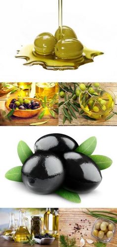 Olives Collection 3