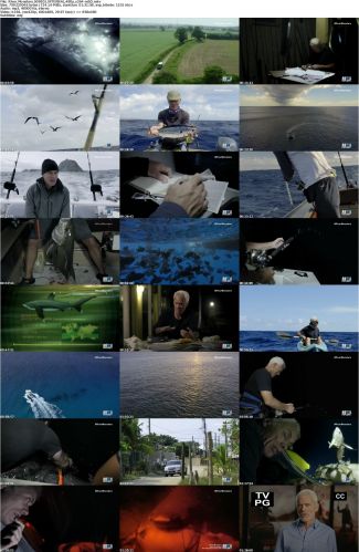 River Monsters S09E01 iNTERNAL 480p x264-mSD