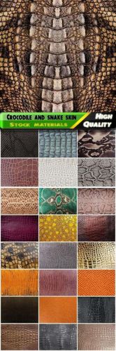 Crocodile and snake skin macro texture Stock images