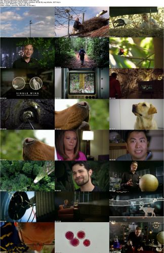 Natures Weirdest Events S05E07 XviD-AFG