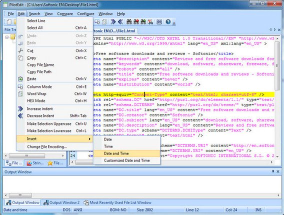 PilotEdit 10.3.0 (x86/x64) Multilingual 