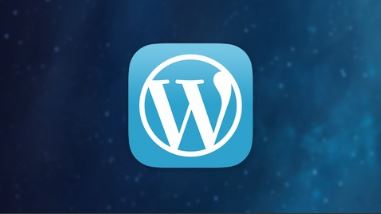 Build a beautiful responsive Wordpress