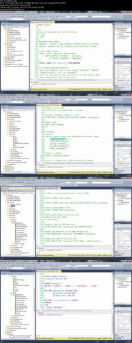 Database Security Video Traning