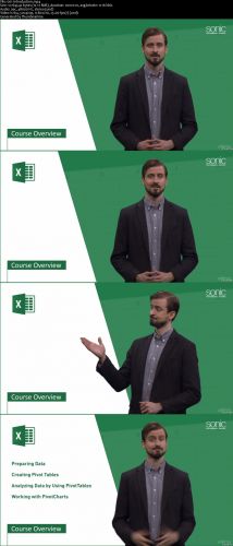 Microsoft Excel 2016: Data Analysis with PivotTables