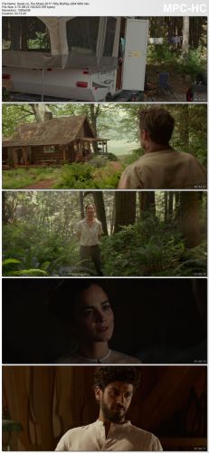 The Shack 2017 720p BluRay x264-WiKi