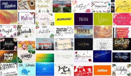 600+ Fonts Family Big Bundle (Multilangual) Pack 44