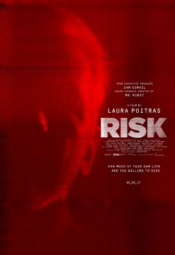 Risk 2016 720p WEB-DL DD5.1.H 264-Coo7