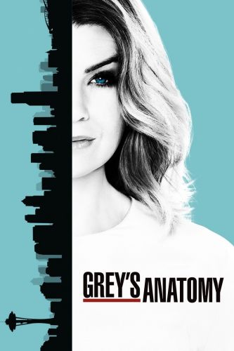 Greys Anatomy S13E22 HDTV x264-KILLERS