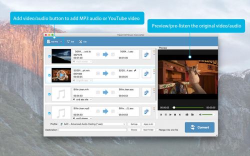 Tipard All Music Converter 3.8.31 MacOSX