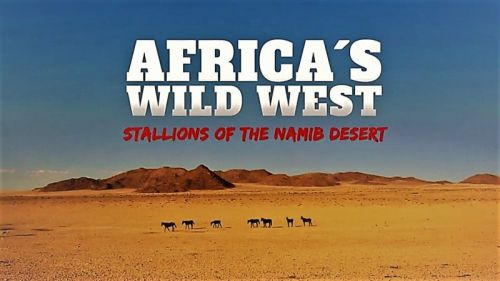ORF - Africa's Wild West: Stallions of the Namib Desert 2014 720p HDTV x264 AAC MVGroup