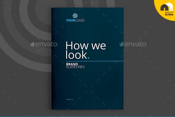 How We Look - Brand Guidelines