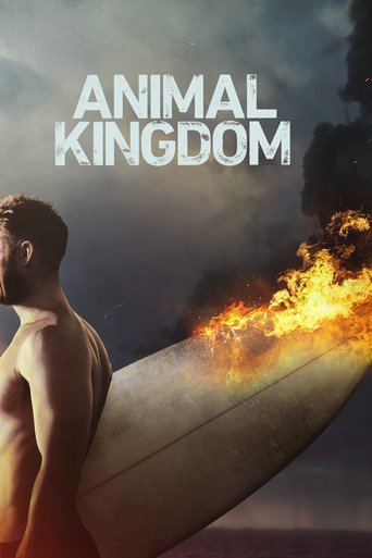 Animal Kingdom US S02E02 720p HDTV X264-DIMENSION
