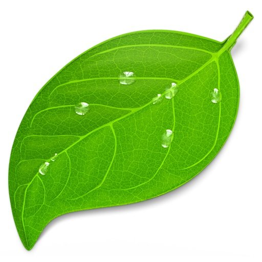 Coda 2.6.6 MacOSX