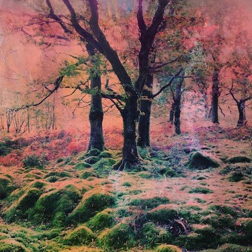 Ocoeur Visionary Elements WAV-FANTASTiC