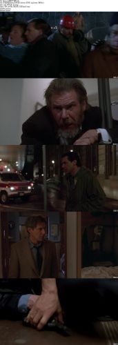The Fugitive 1993 m720p BluRay x264-BiRD