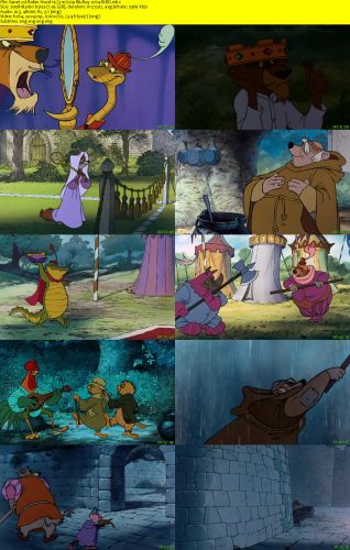 Robin Hood 1973 m720p BluRay x264-BiRD