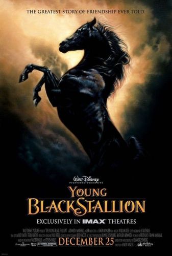 The Young Black Stallion 2003 NORDiC 1080p WEB-DL H264 DDP 5.1-ADDICTION