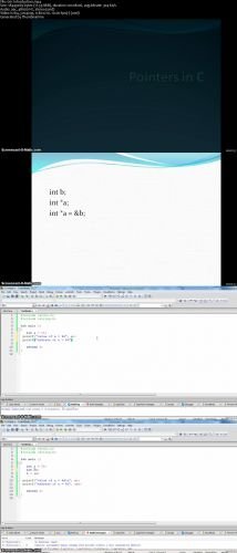 Pointers in C programming Video Training