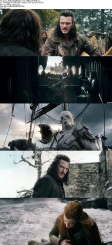 The Hobbit The Battle Of The Five Armies (2014) 720p BluRay x264-HD3D