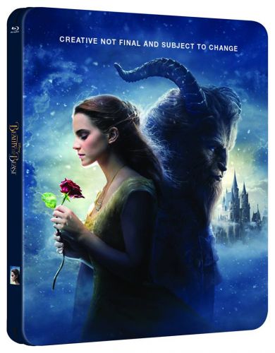Beauty and the Beast 2017 1080p BluRay Hindi English AC3 LOKI-M2Tv 