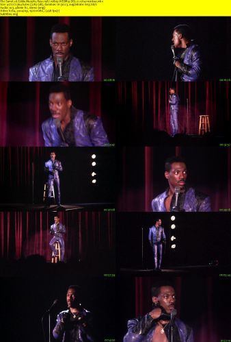 Eddie Murphy Raw 1987 1080p WEBRip DD2.0 x264-monkee