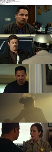 CHIPS 2017 BluRay 720p DTS x264-beAst