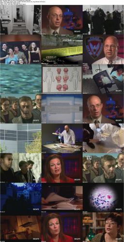 Forensic Files S11E22 A Novel Idea iNTERNAL DSR x264-WaLMaRT