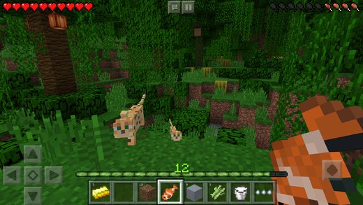 Minecraft: Pocket Edition v1.1.1