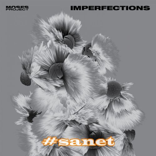 Moses Project - Imperfections (2017)