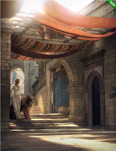 The Streets of Morocco 