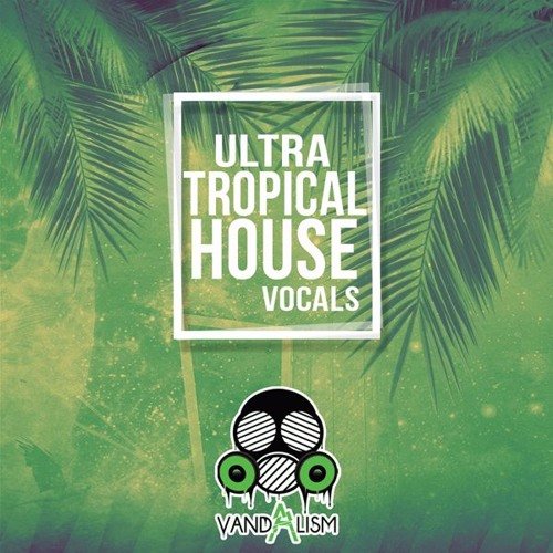Vandalism Ultra Tropical House Vocals WAV MIDI-SYNTHiC4TE