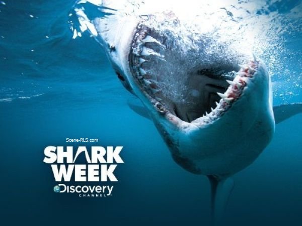 Shark Week 2017 Phelps vs Shark REAL PROPER HDTV x264-W4F